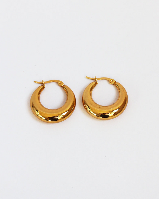 Lily Chunky Earrings