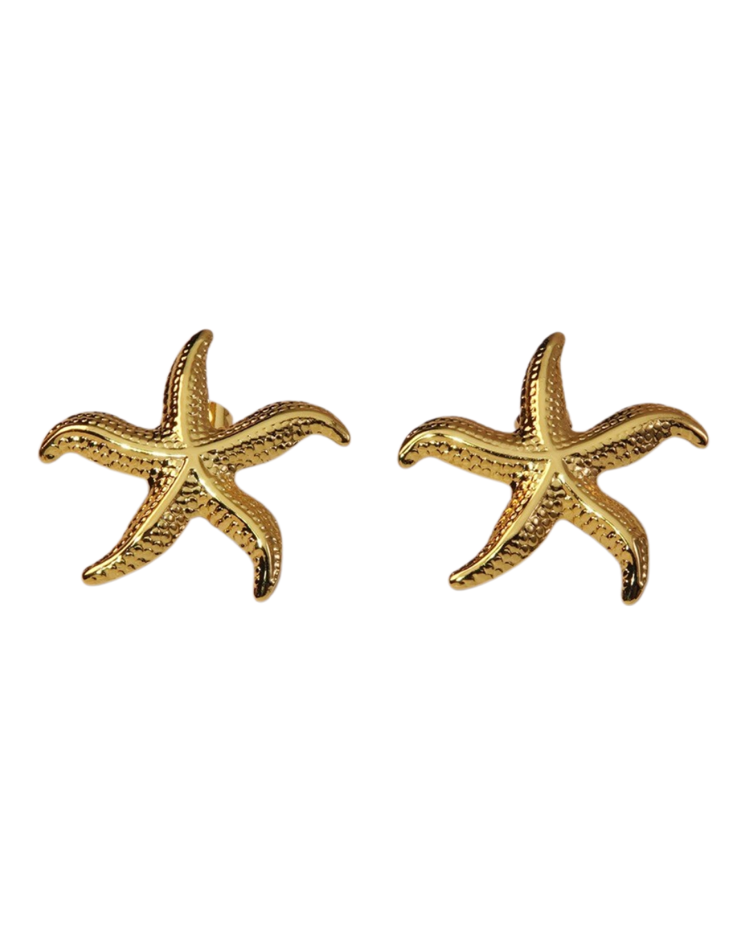 Starfish Earrings